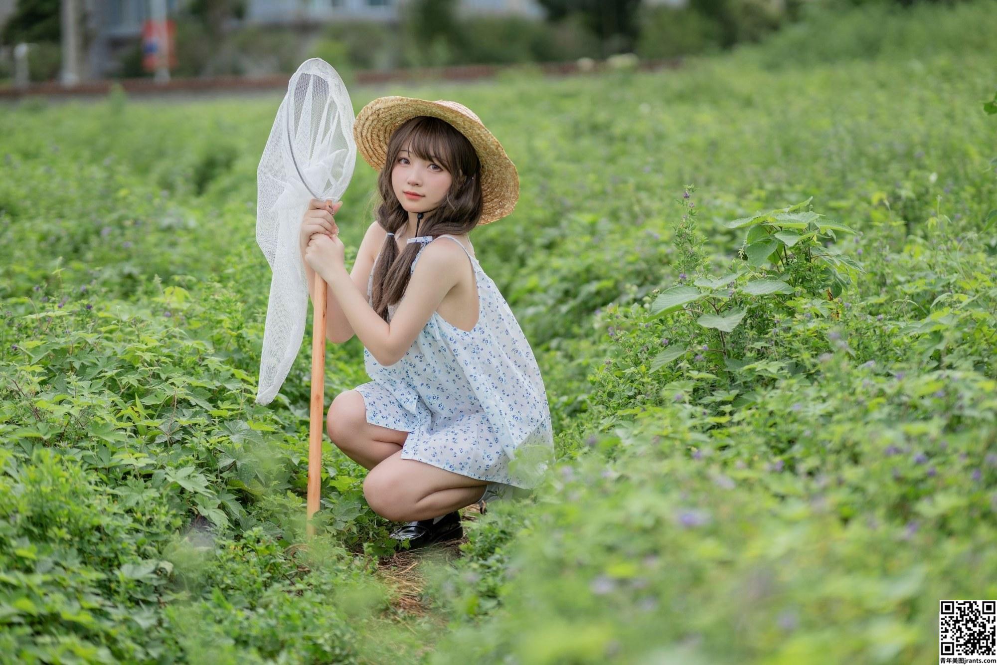 花铃 田野